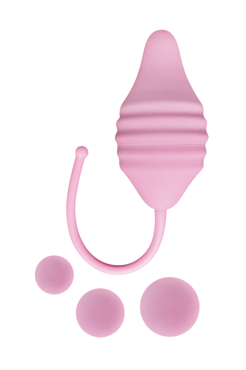 Pelvix Concept - Femintimate — Femintimate